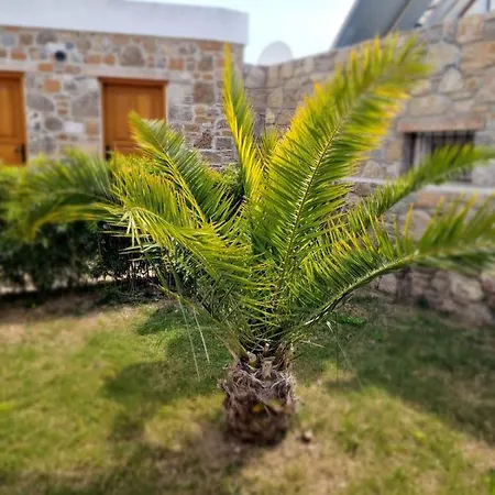 Madran Evi داتْشا