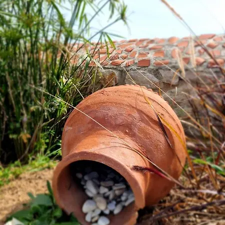 Madran Evi فندق